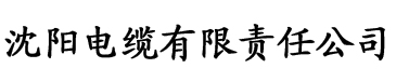 欧洲精品久久一区二区电缆厂logo